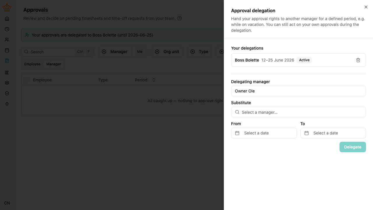 Setting up an approval delegation