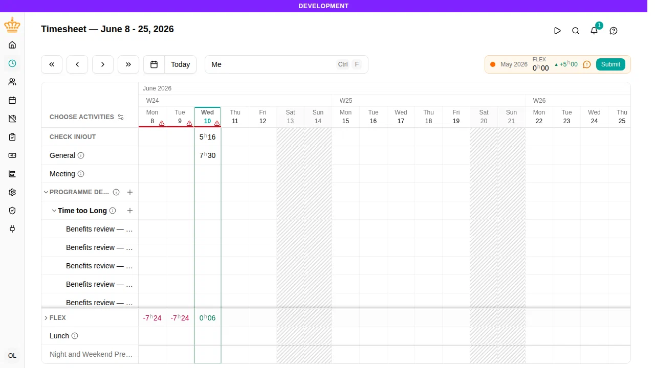 Timesheet with activity rows and daily totals
