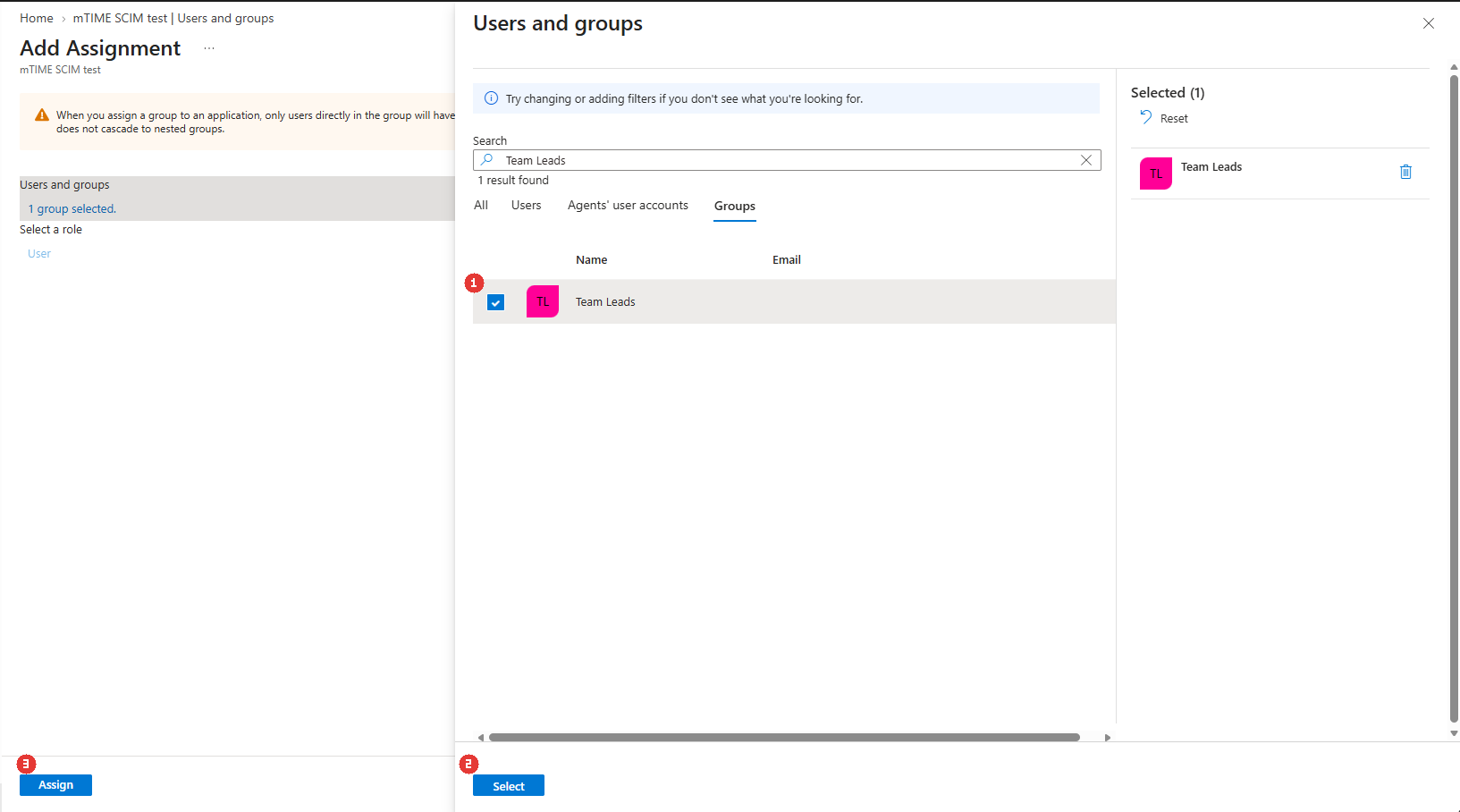 Selecting the Team Leads group and assigning it to the application